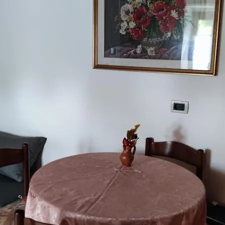 Apartma Dajana *