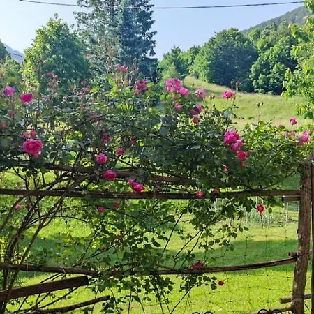 Apartma Dajana Appartement