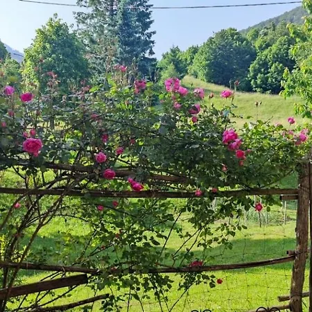Apartma Dajana Apartmán