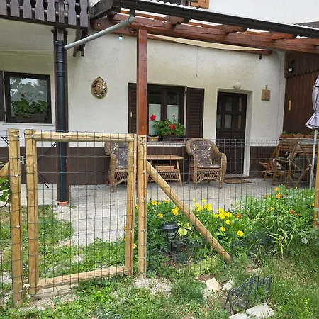 Apartma Dajana *