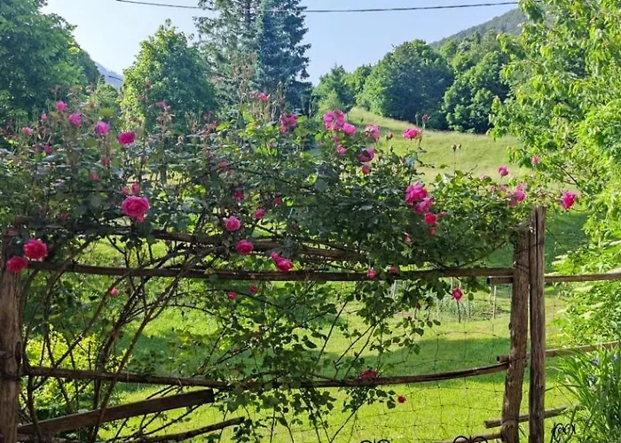 Apartma Dajana 公寓